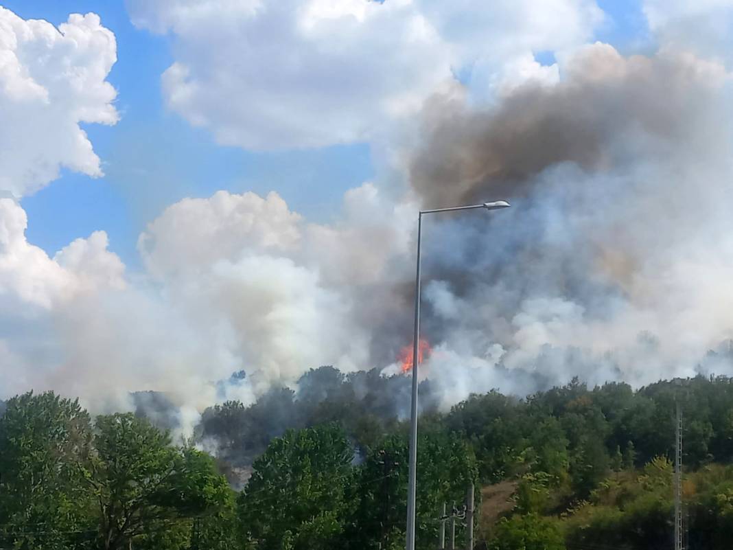 Bilecik'te orman yangını! Havadan ve karadan müdahale ediliyor 3